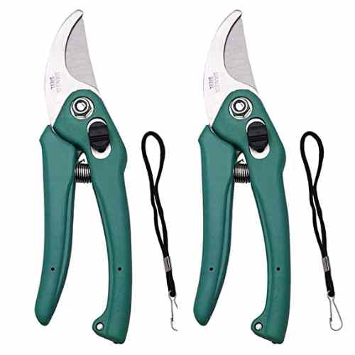 Stem Cutter (Pack of 2) - Tools